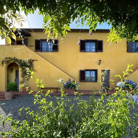 Serra Destri Apartment Riparbella
